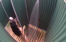 Spycam in public shower