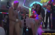 Euro party leads to great orgy